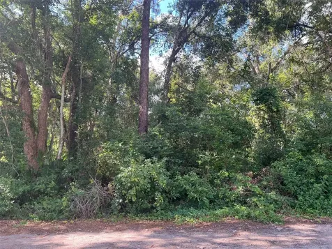 Par Avenue Sorrento FL 32776