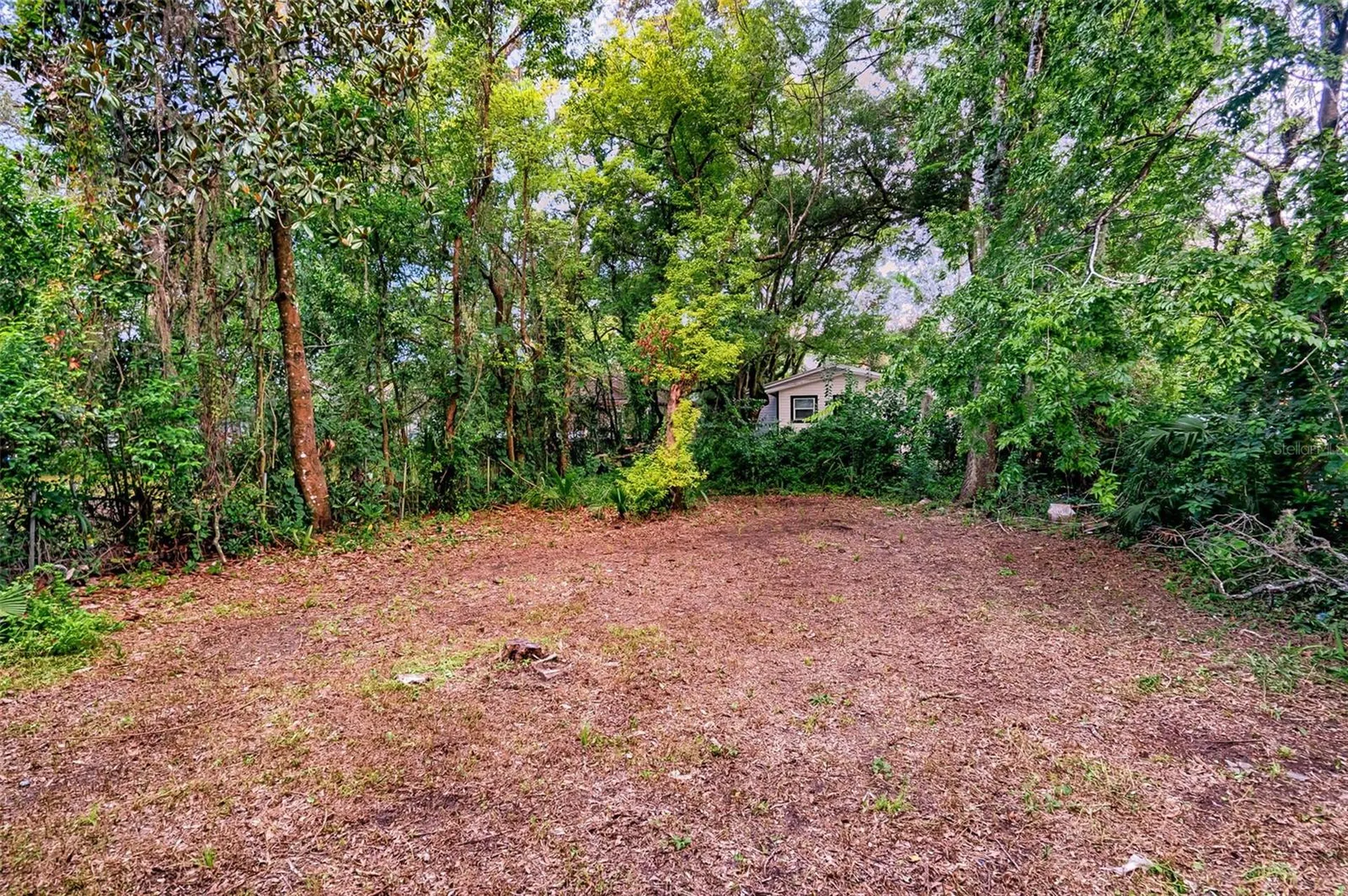 534 & 580 NW 7th Terrace Gainesville FL 32601