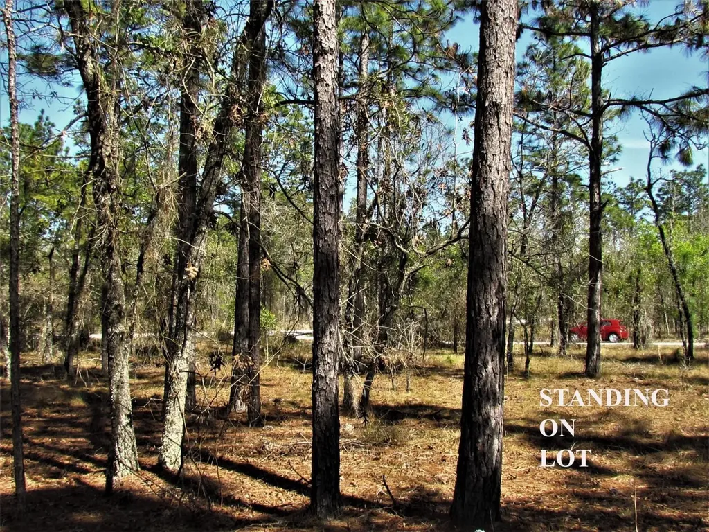 Lombardy Lane Dunnellon FL 34431
