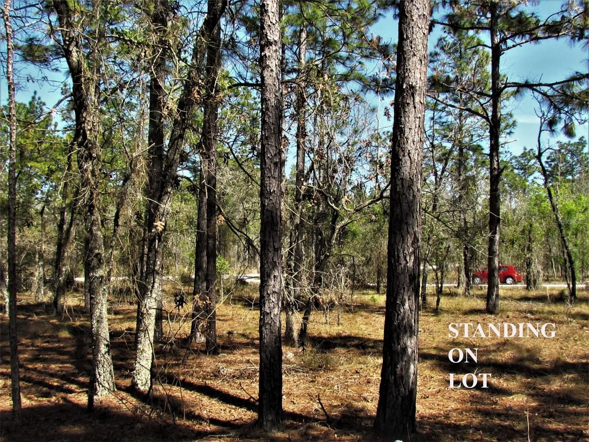Lombardy Lane Dunnellon FL 34431
