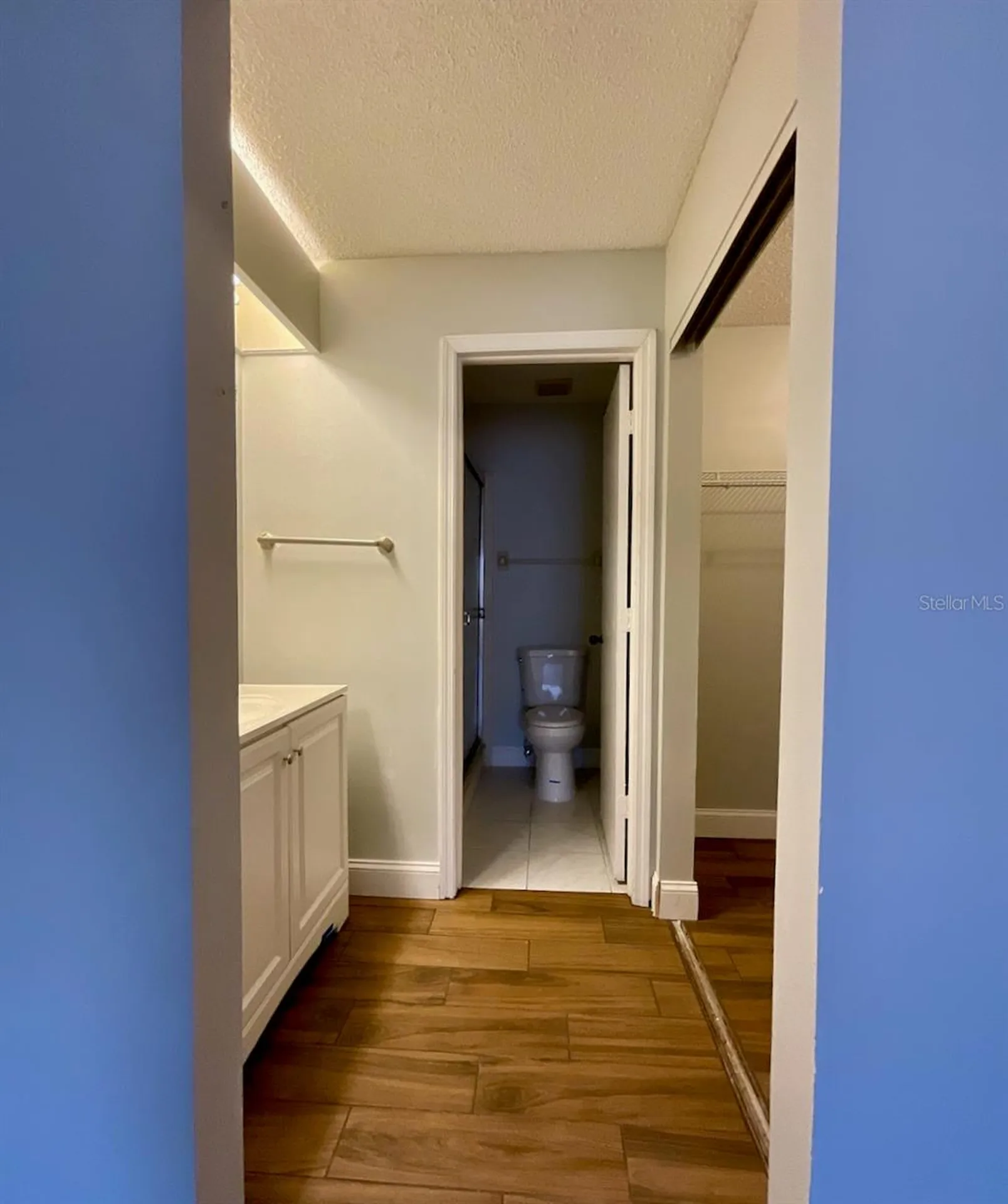 1311 Powderpuff Drive Dunedin FL 34698