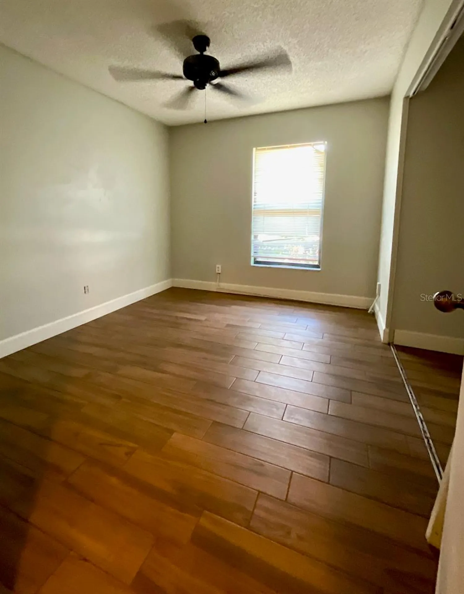 1311 Powderpuff Drive Dunedin FL 34698