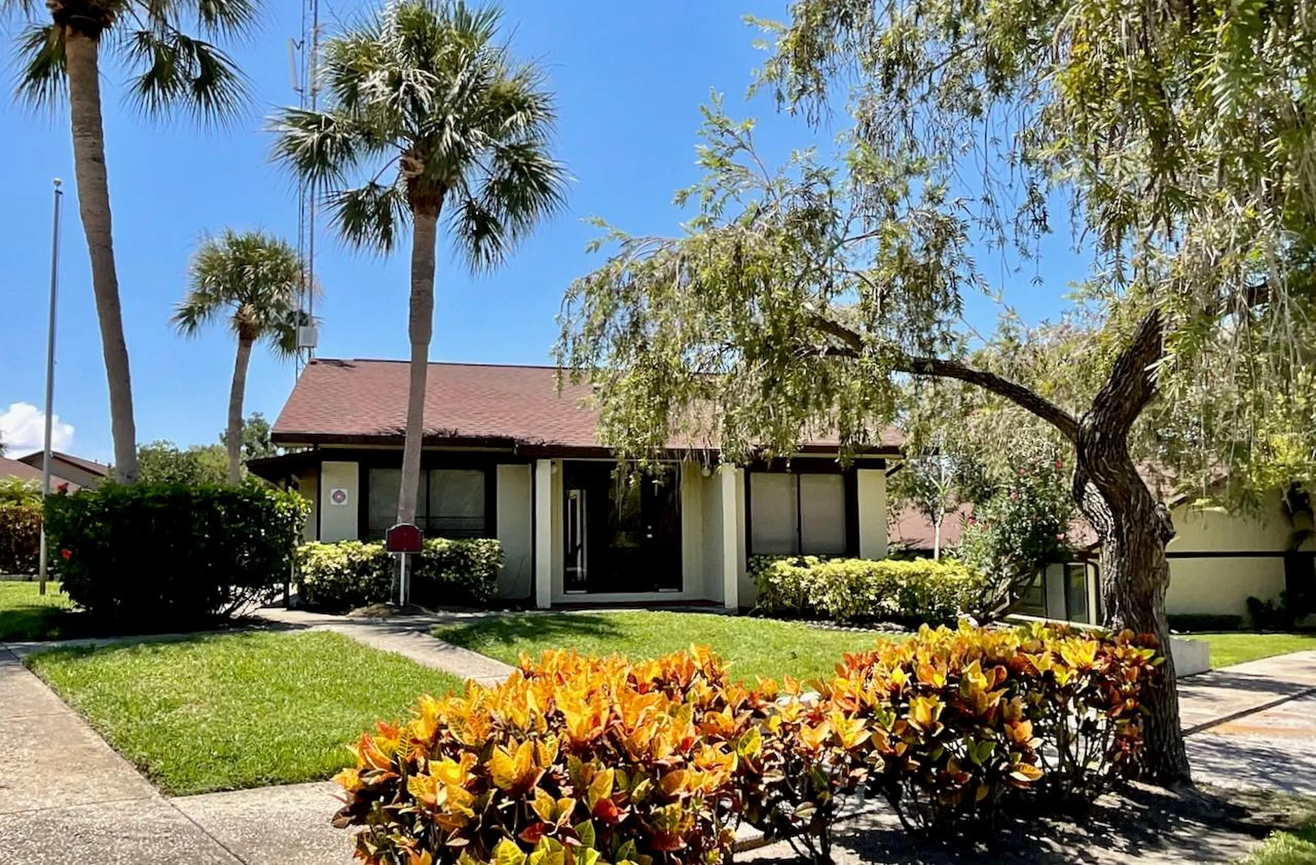 1311 Powderpuff Drive Dunedin FL 34698