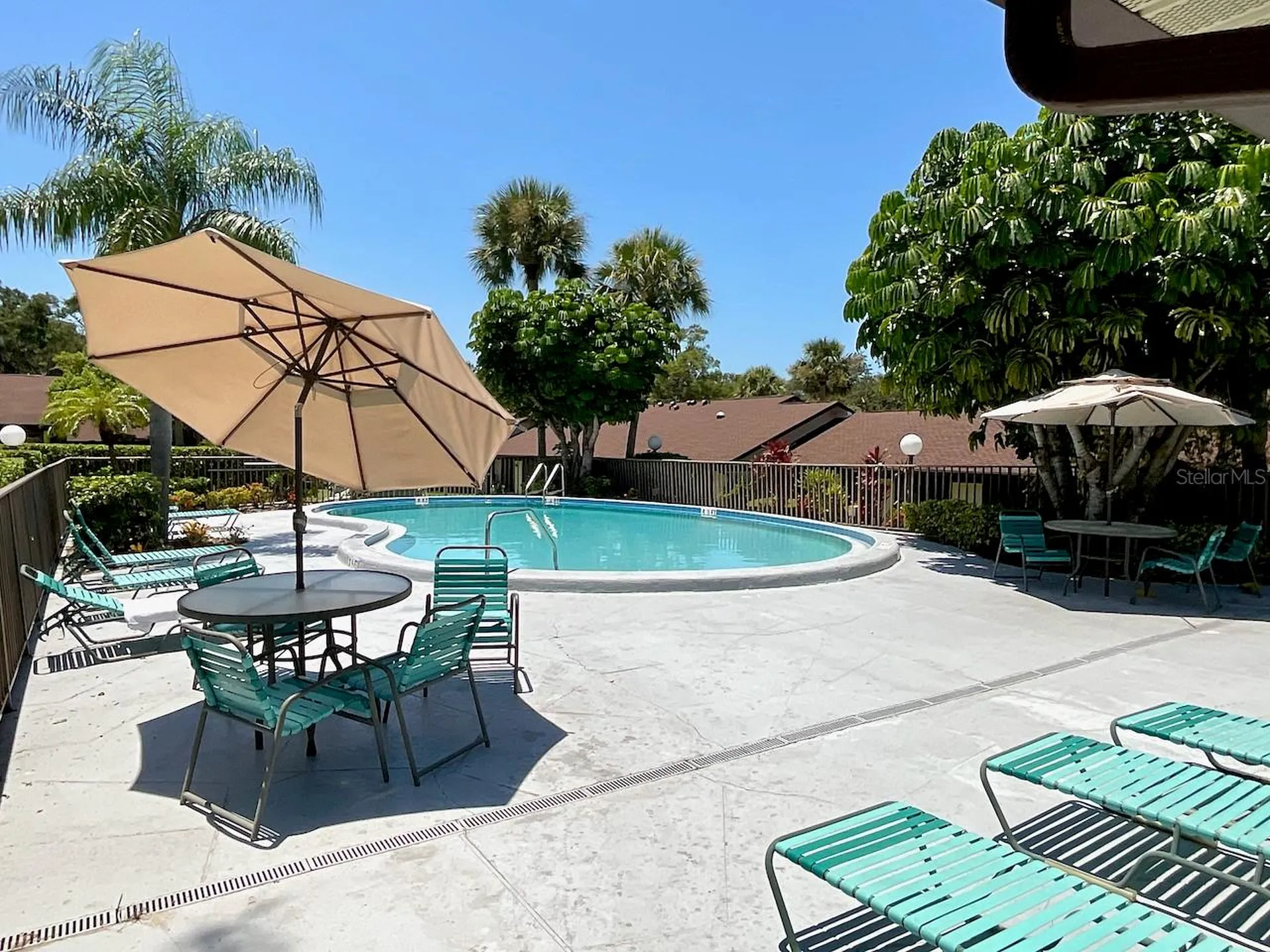 1311 Powderpuff Drive Dunedin FL 34698