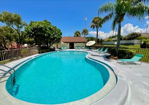 1311 Powderpuff Drive Dunedin FL 34698