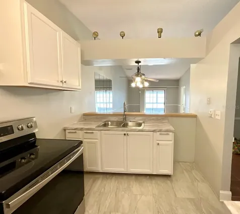 1311 Powderpuff Drive Dunedin FL 34698