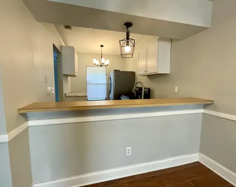 1311 Powderpuff Drive Dunedin FL 34698