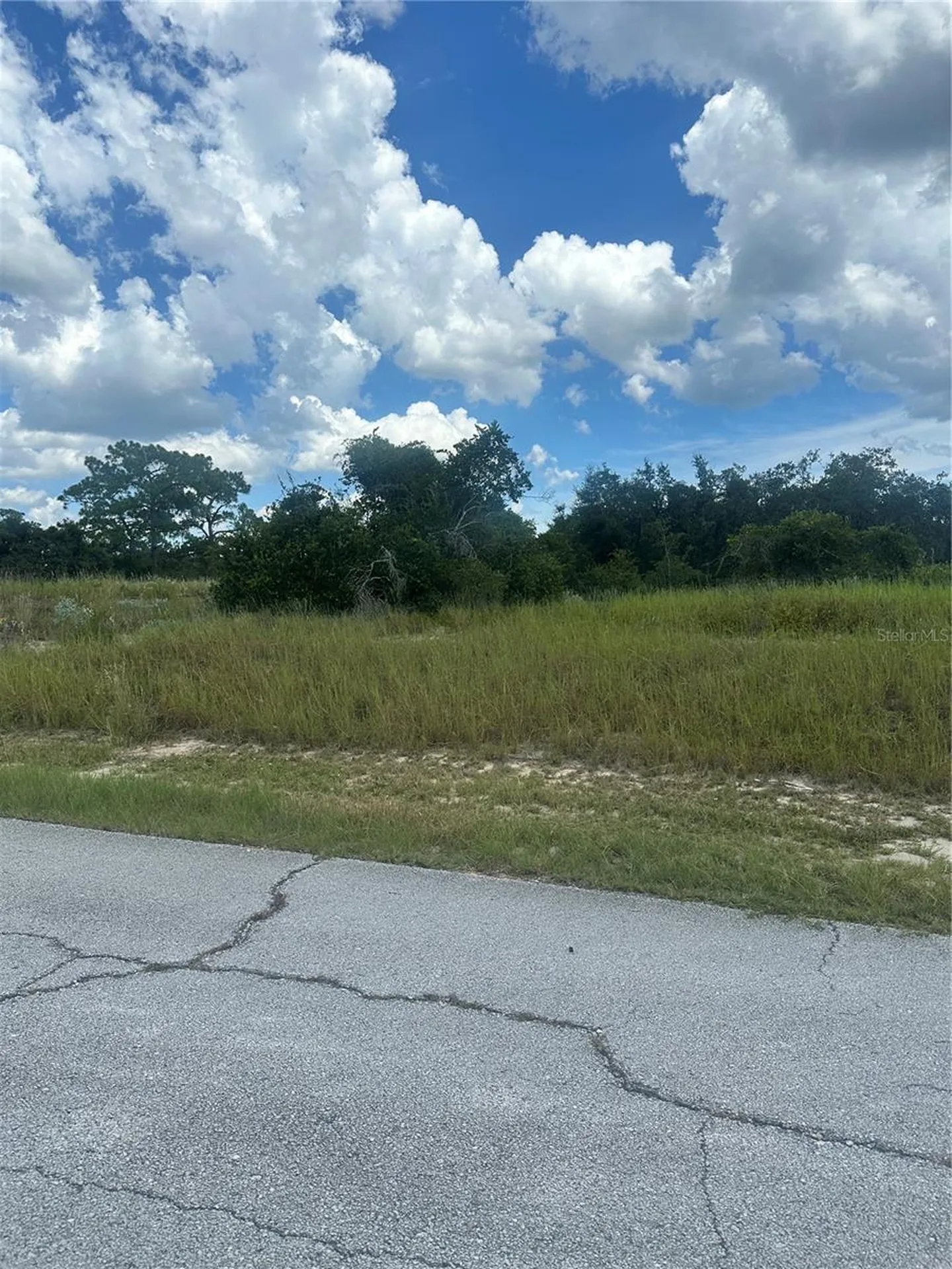 1348 Homosassa Court Kissimmee FL 34759