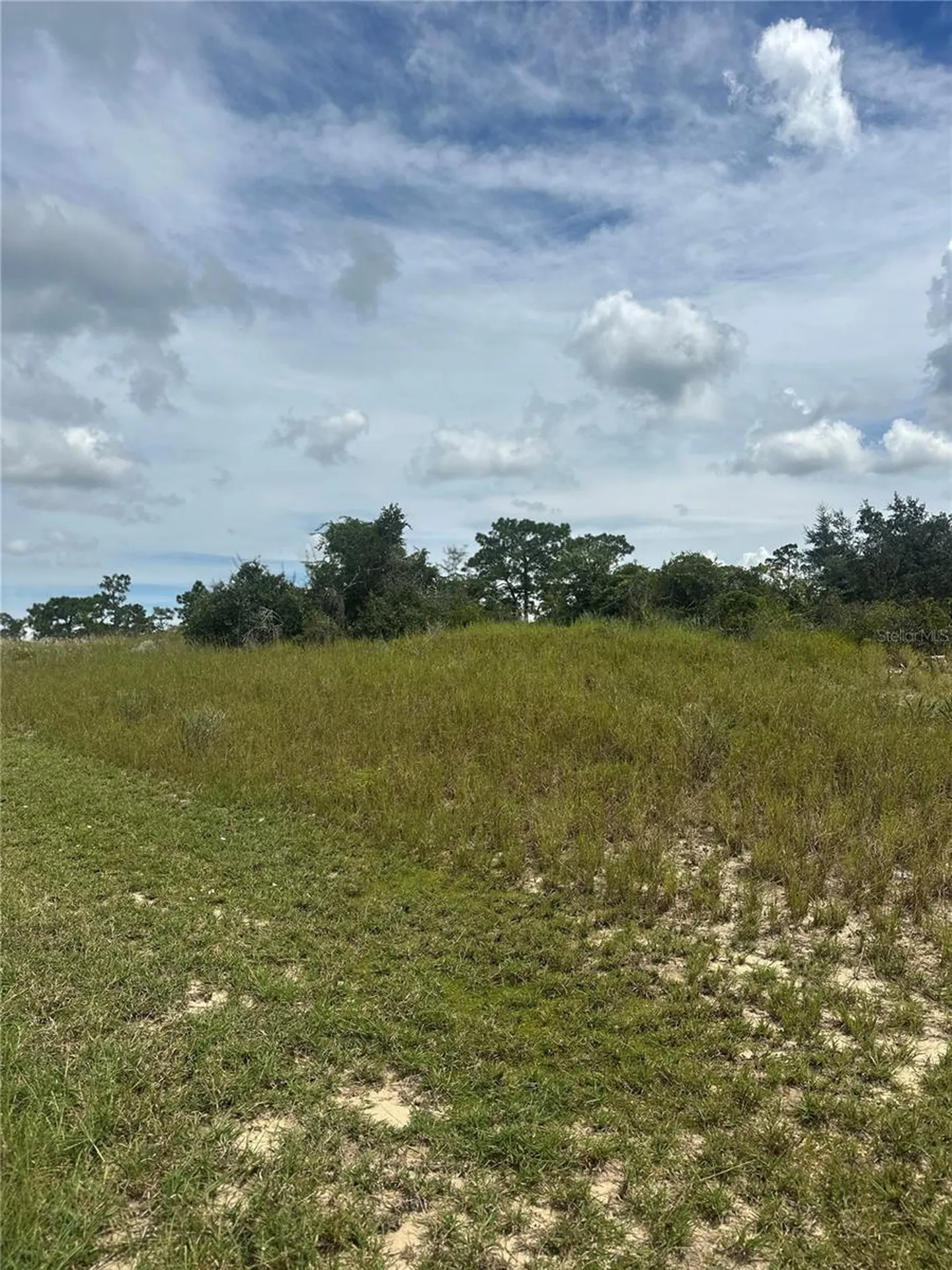 1348 Homosassa Court Kissimmee FL 34759