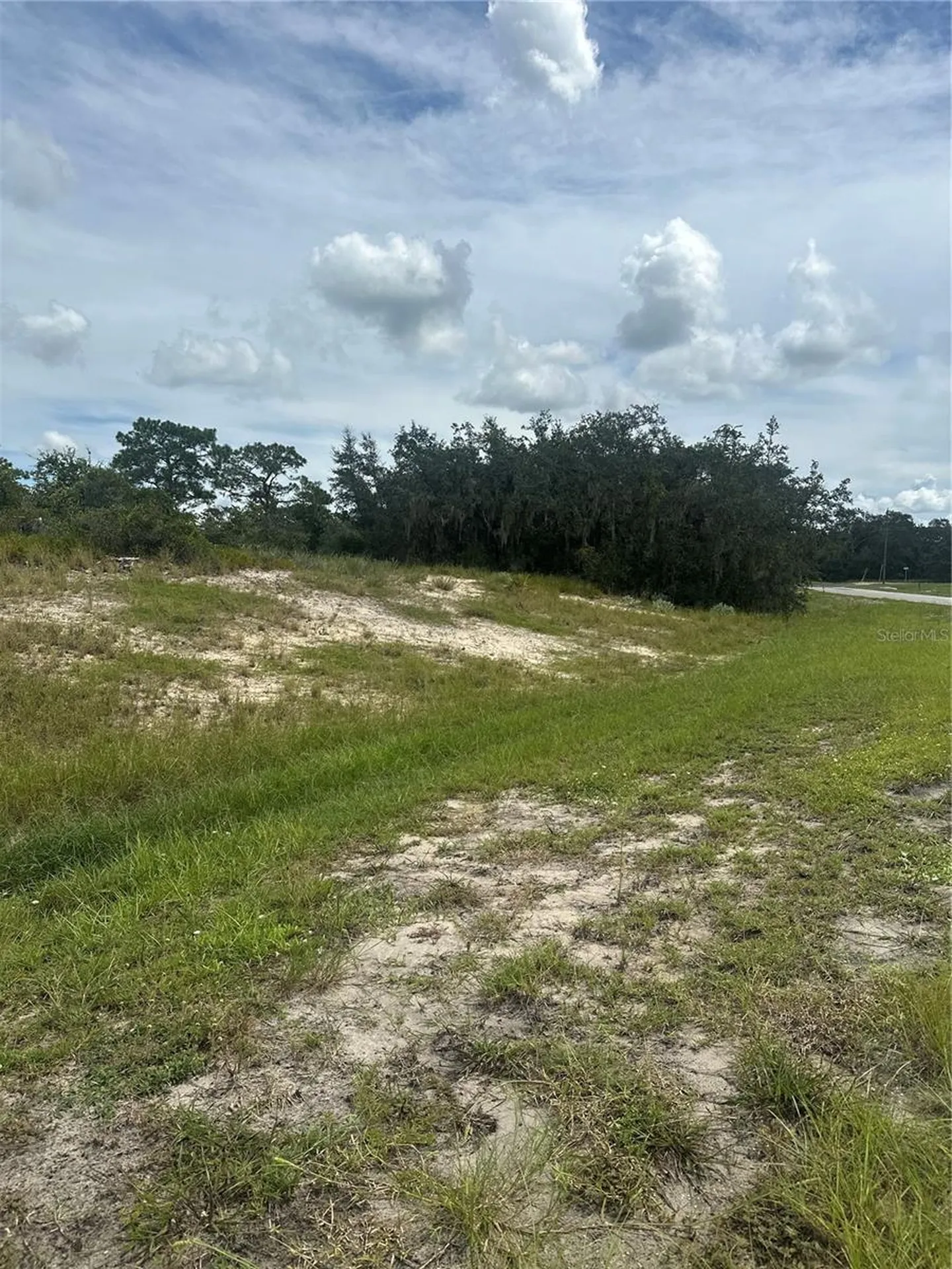 1348 Homosassa Court Kissimmee FL 34759