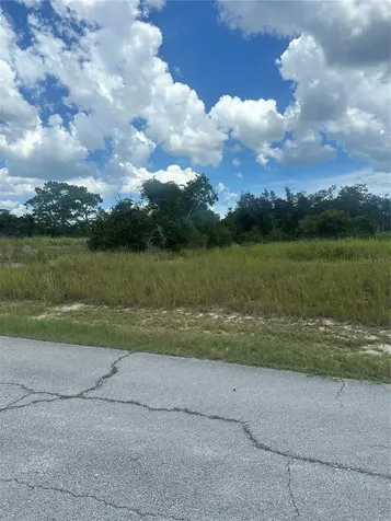 1348 Homosassa Court Kissimmee FL 34759