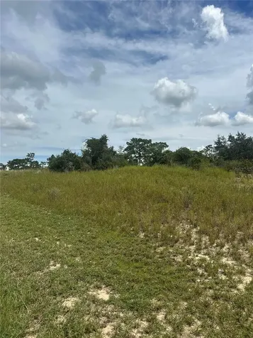 1348 Homosassa Court Kissimmee FL 34759