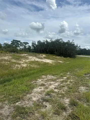 1348 Homosassa Court Kissimmee FL 34759