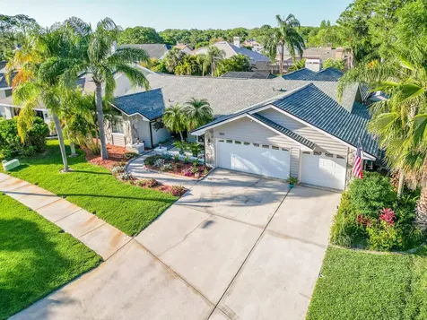 1005 Chatham Court Safety Harbor FL 34695