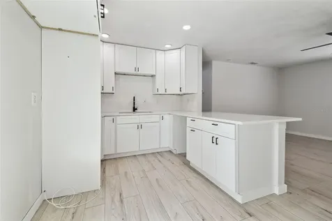 3414 Lindsey Street Dover FL 33527