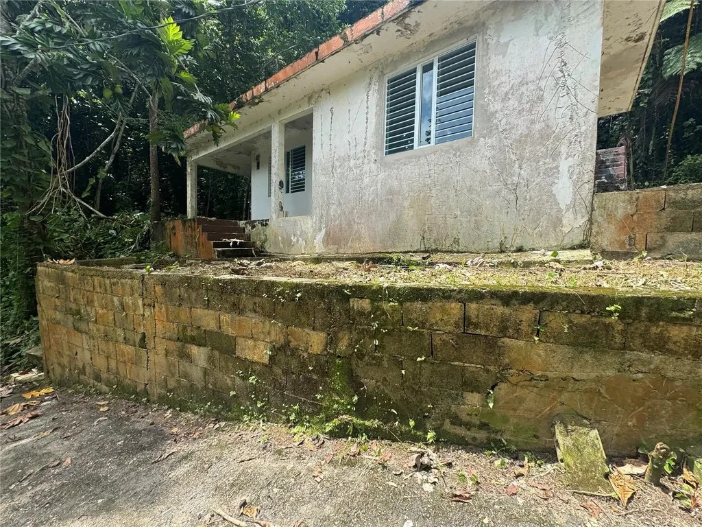 Carr 123 Km 64.5 Bo Caniaco Utuado PR 00641