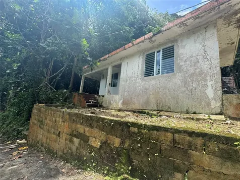 Carr 123 Km 64.5 Bo Caniaco Utuado PR 00641