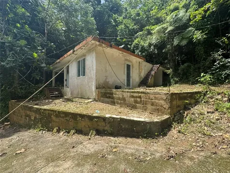 Carr 123 Km 64.5 Bo Caniaco Utuado PR 00641