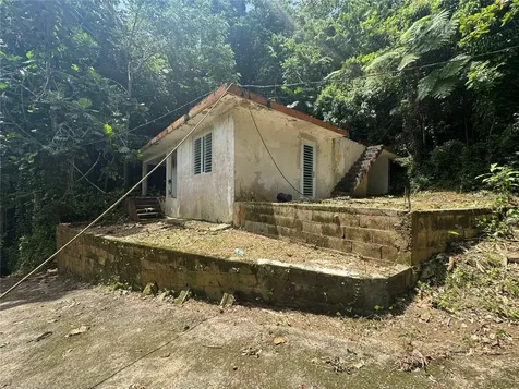 Carr 123 Km 64.5 Bo Caniaco Utuado PR 00641