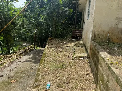 Carr 123 Km 64.5 Bo Caniaco Utuado PR 00641
