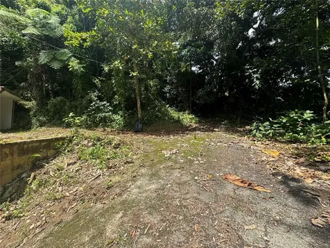 Carr 123 Km 64.5 Bo Caniaco Utuado PR 00641