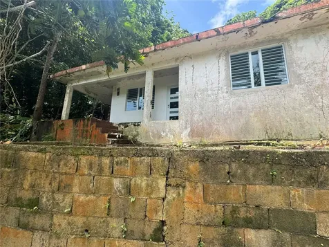 Carr 123 Km 64.5 Bo Caniaco Utuado PR 00641