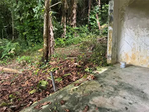Carr 123 Km 64.5 Bo Caniaco Utuado PR 00641