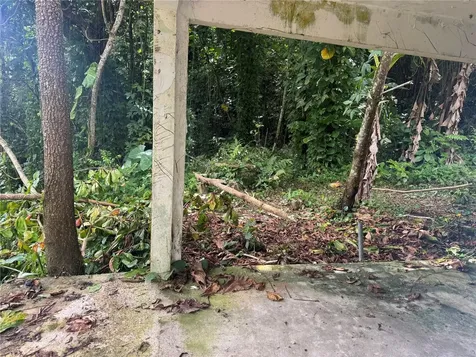 Carr 123 Km 64.5 Bo Caniaco Utuado PR 00641