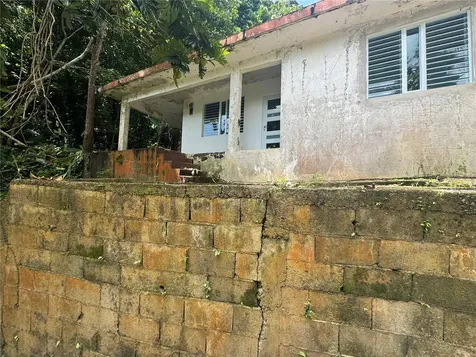 Carr 123 Km 64.5 Bo Caniaco Utuado PR 00641