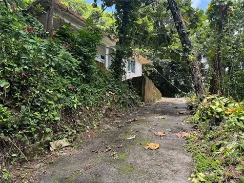 Carr 123 Km 64.5 Bo Caniaco Utuado PR 00641