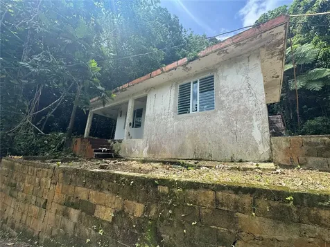 Carr 123 Km 64.5 Bo Caniaco Utuado PR 00641