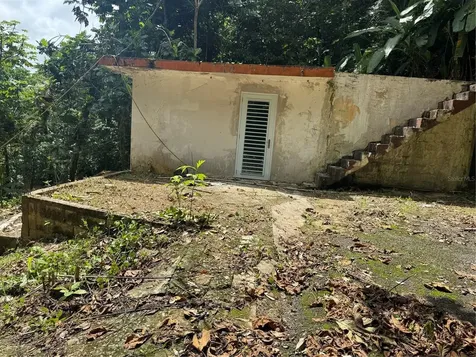 Carr 123 Km 64.5 Bo Caniaco Utuado PR 00641