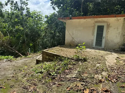 Carr 123 Km 64.5 Bo Caniaco Utuado PR 00641