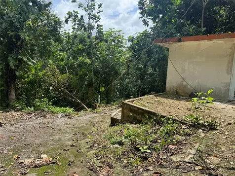 Carr 123 Km 64.5 Bo Caniaco Utuado PR 00641