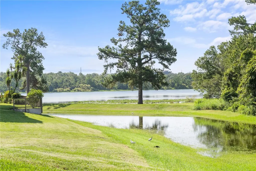 1054 Lotus Cove Court Altamonte Springs FL 32714