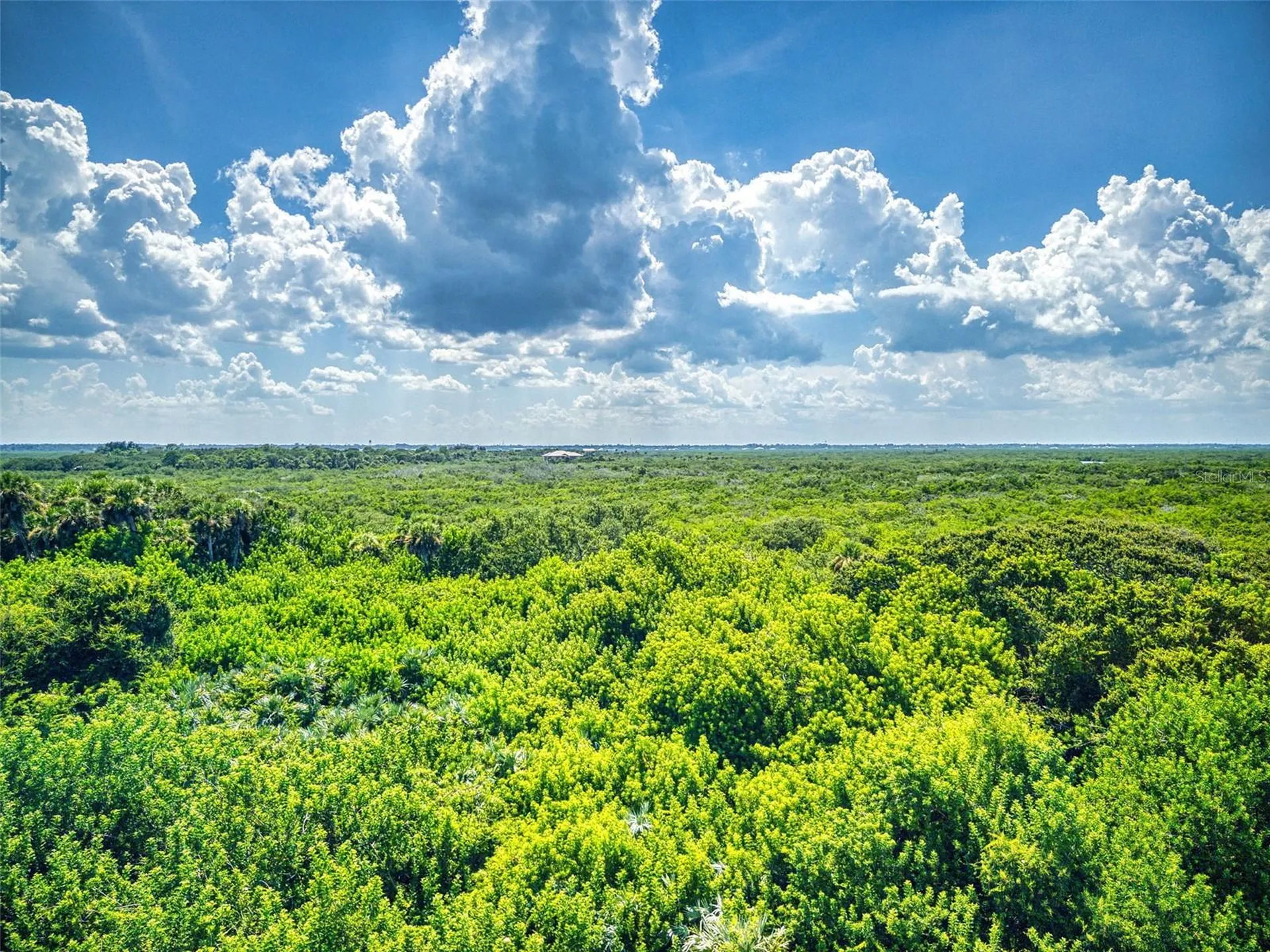 5300 Atlantic New Smyrna Beach FL 32169