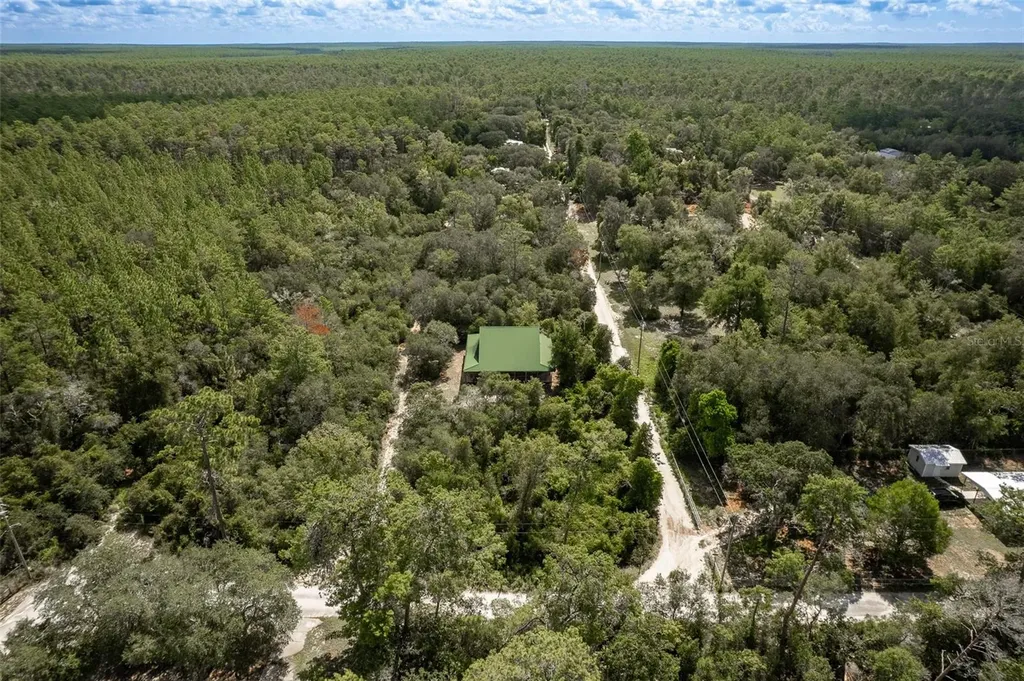 20259 NE 147th Terrace Fort Mc Coy FL 32134