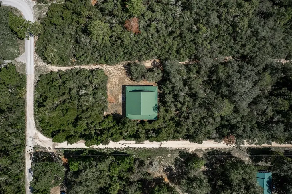 20259 NE 147th Terrace Fort Mc Coy FL 32134