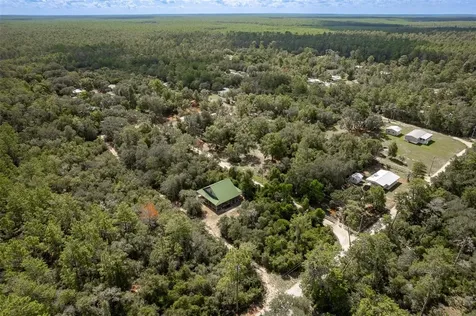 20259 NE 147th Terrace Fort Mc Coy FL 32134