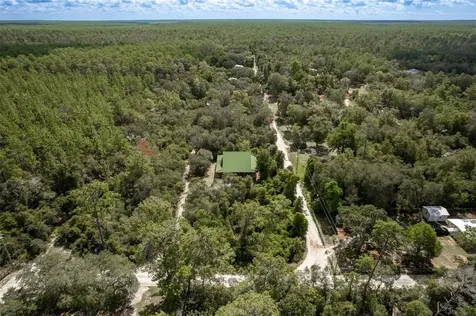 20259 NE 147th Terrace Fort Mc Coy FL 32134