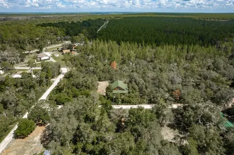 20259 NE 147th Terrace Fort Mc Coy FL 32134