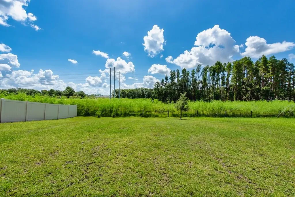 14529 Woodland Spur Drive Lithia FL 33547