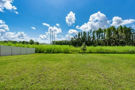 14529 Woodland Spur Drive Lithia FL 33547