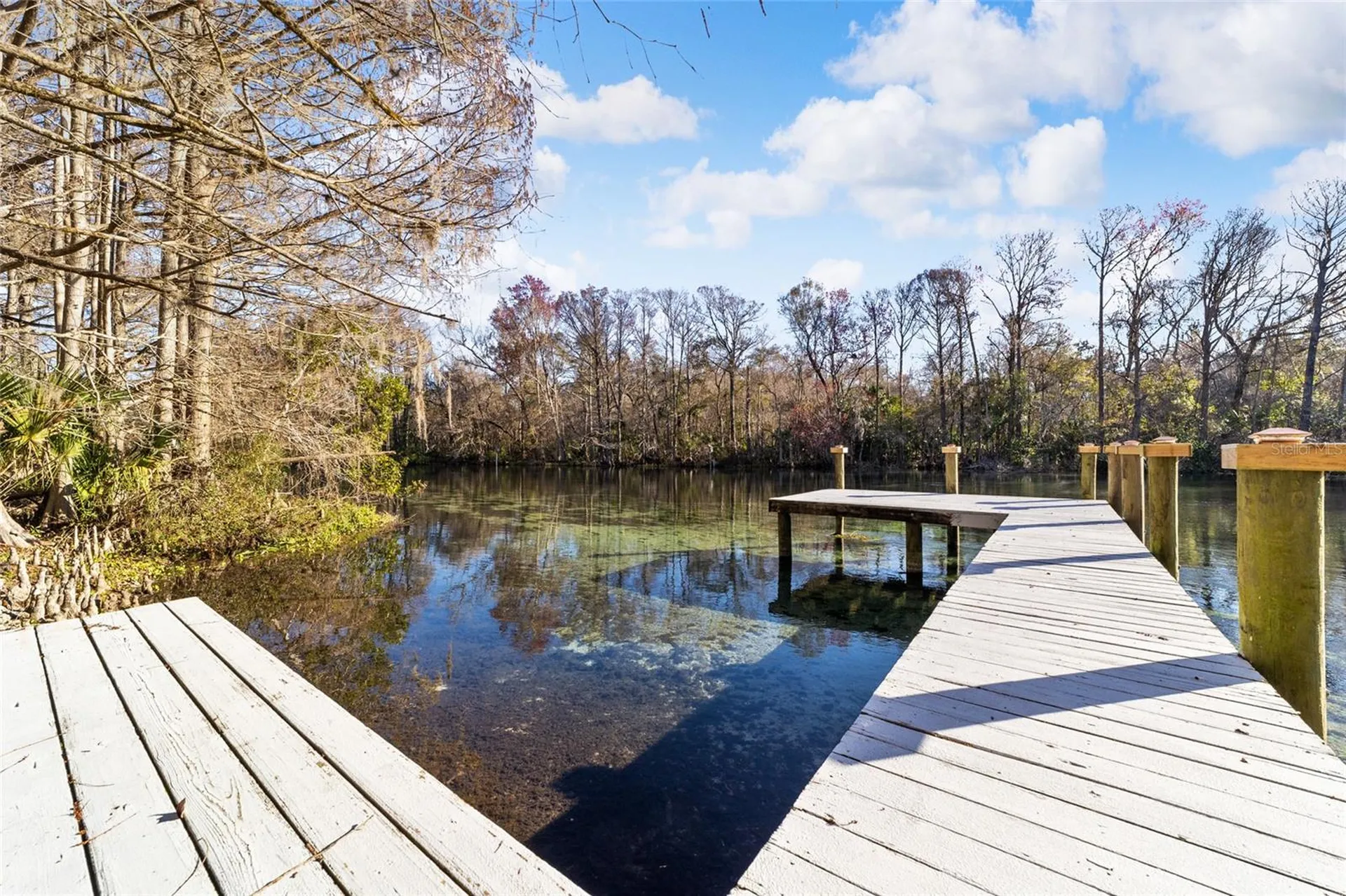 10801 SW 185th Terrace Dunnellon FL 34432