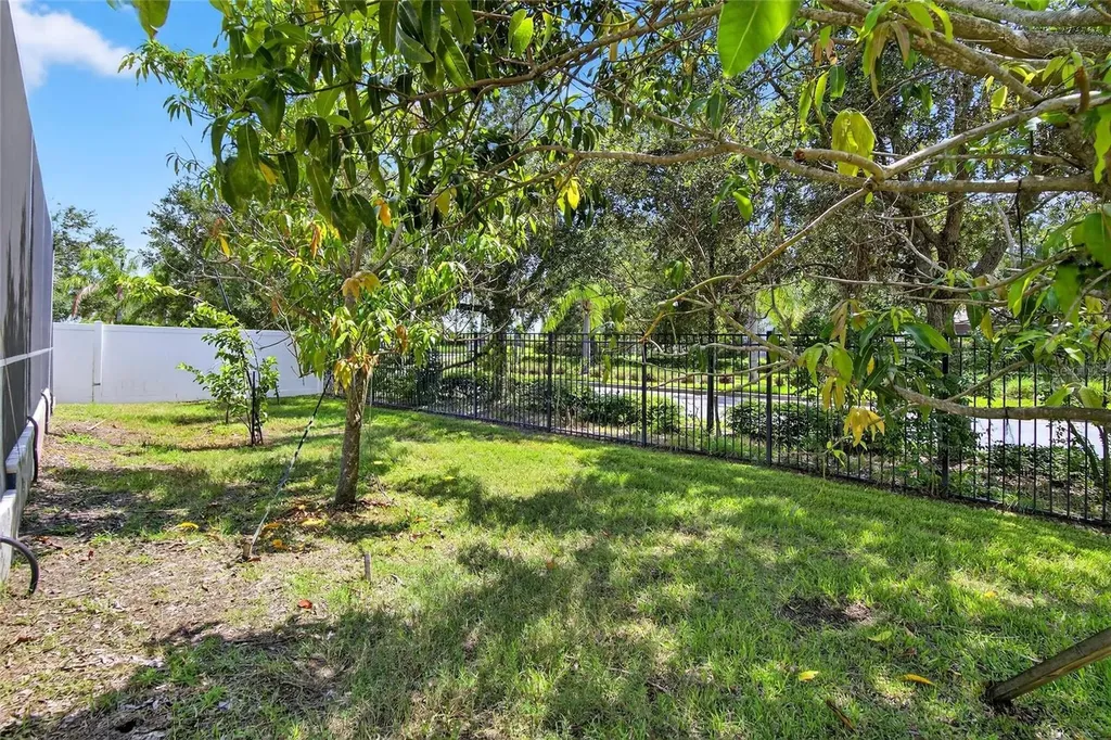 12407 Gilmerton Mist Lane Riverview FL 33579
