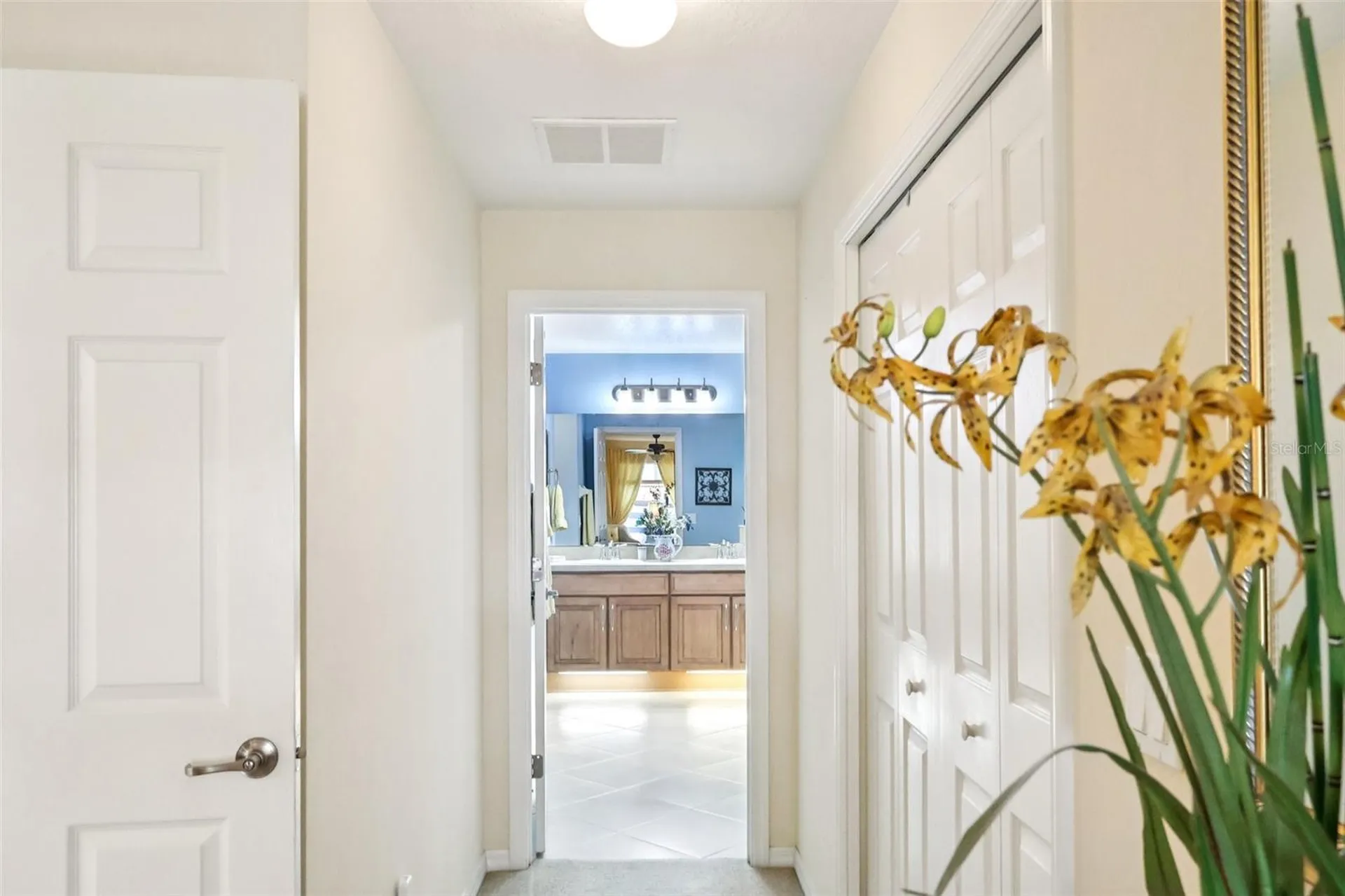 30308 Lipizzan Terrace Mount Dora FL 32757