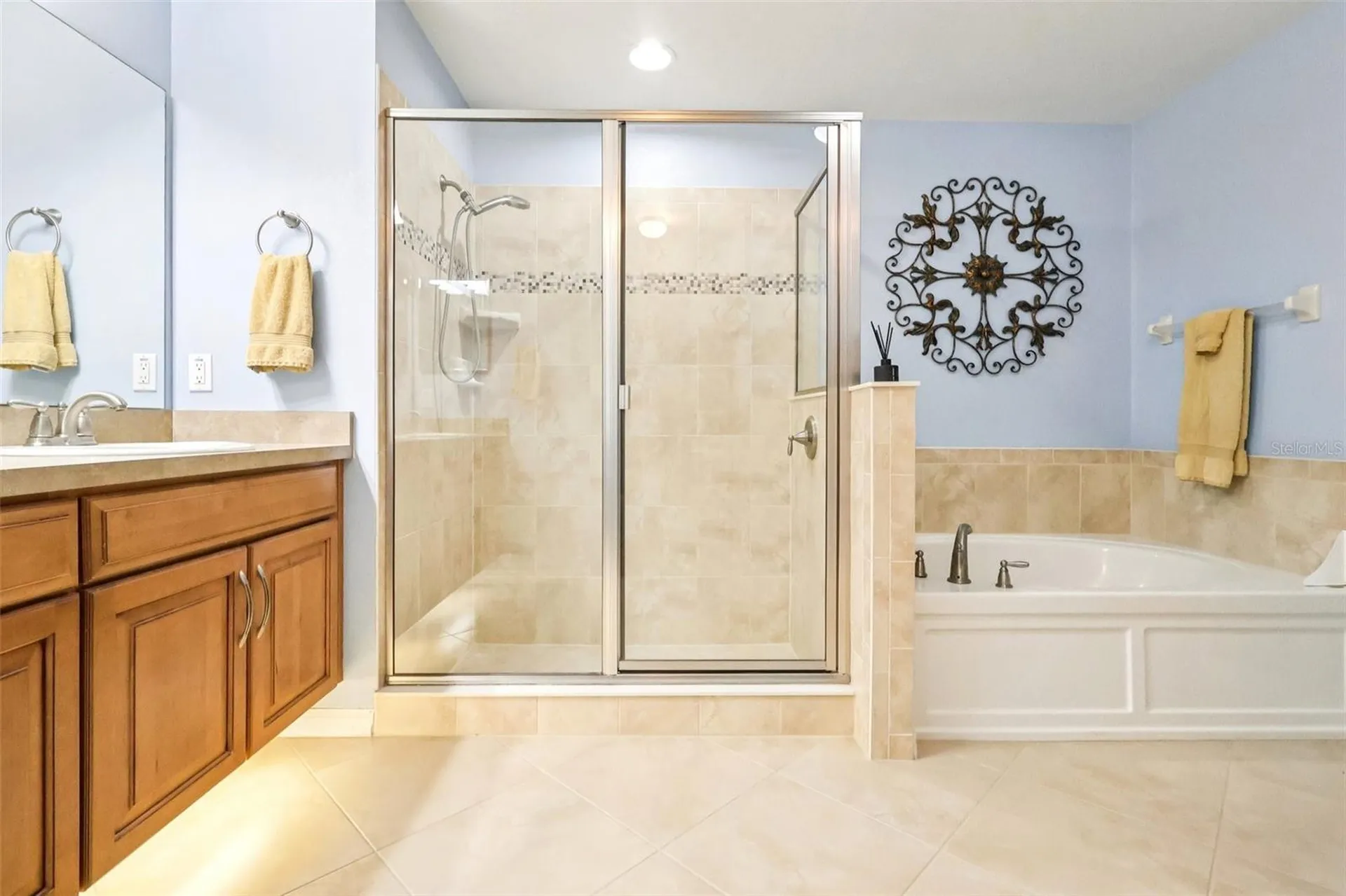 30308 Lipizzan Terrace Mount Dora FL 32757