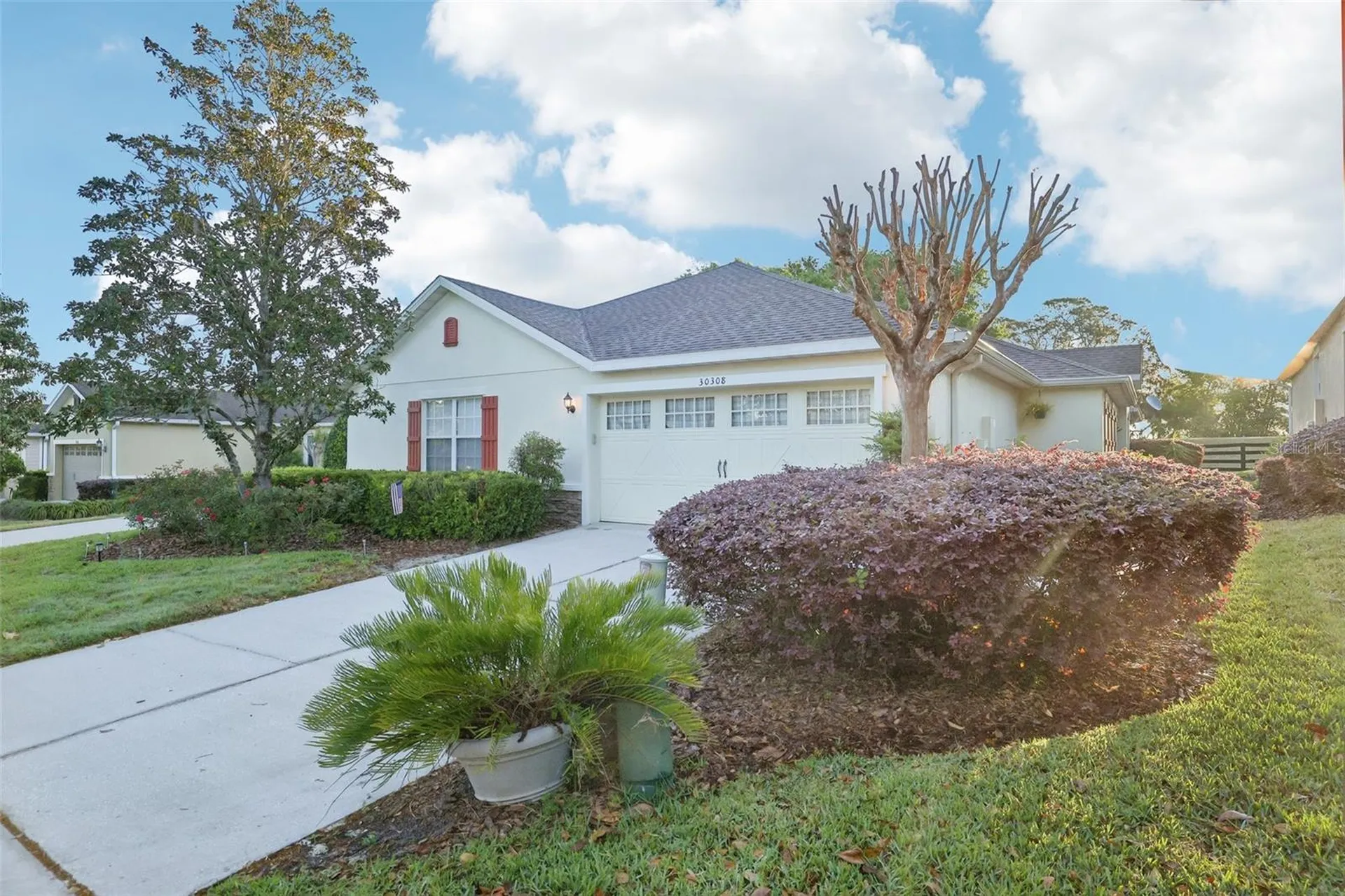 30308 Lipizzan Terrace Mount Dora FL 32757