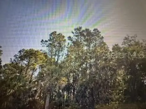 2299 Dumont Drive Punta Gorda FL 33983