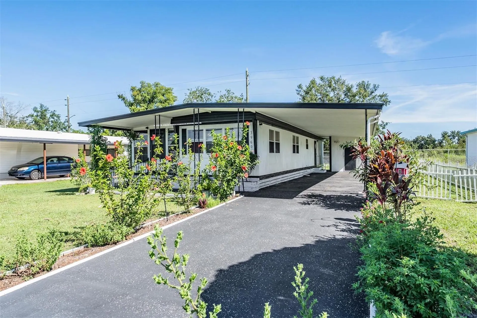 39601 Elgin Drive Zephyrhills FL 33542